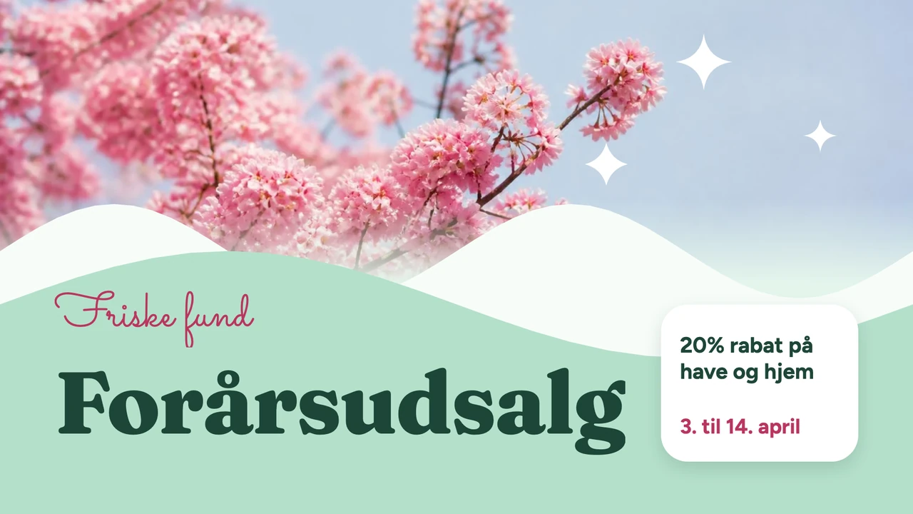 Forårskampagne med blomster