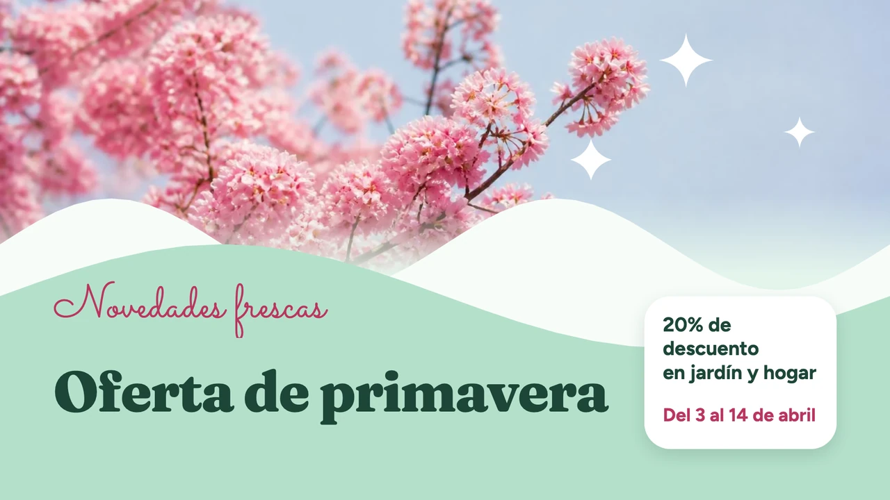 Flor de cerezo en primavera