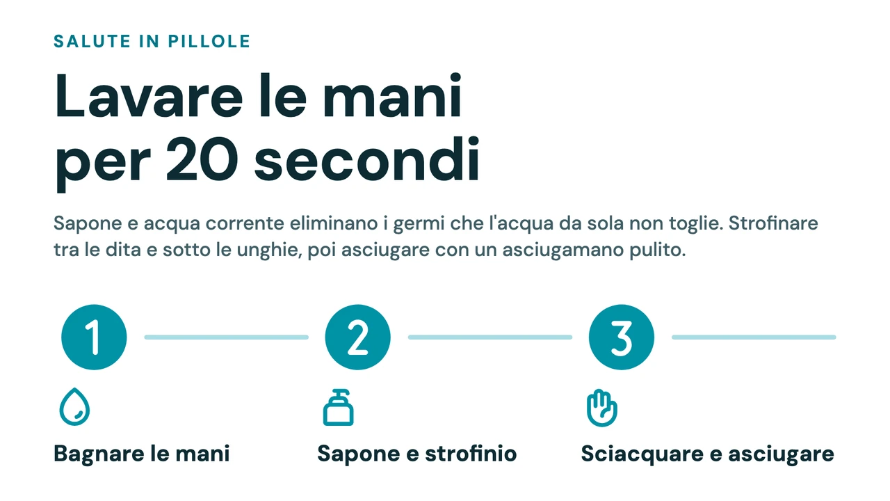 Consiglio a passi numerati