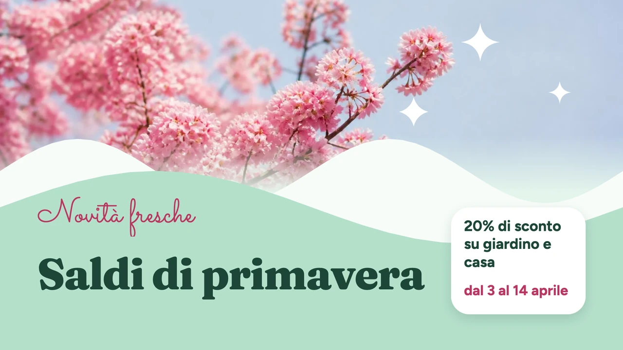 Fioritura di primavera