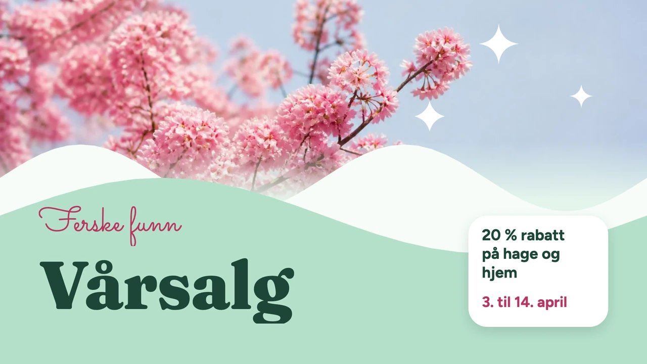 Vårkampanje med blomster