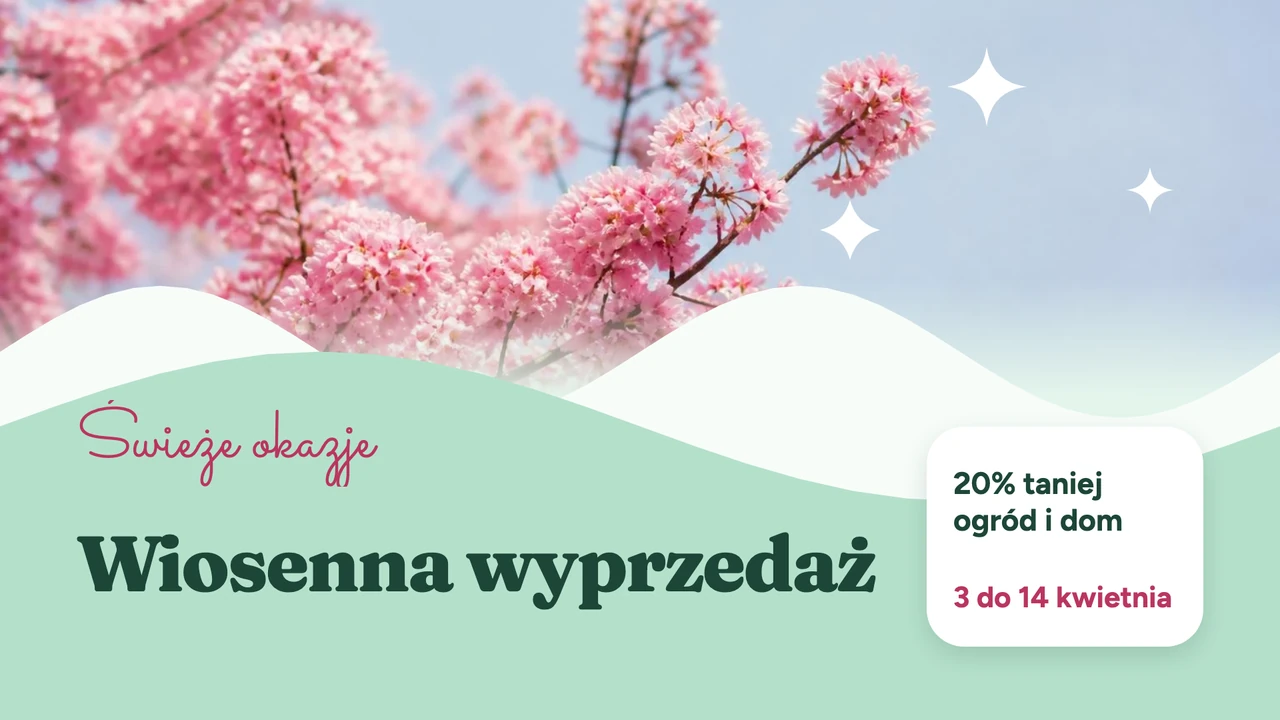 Kampania z kwitnącą gałęzią