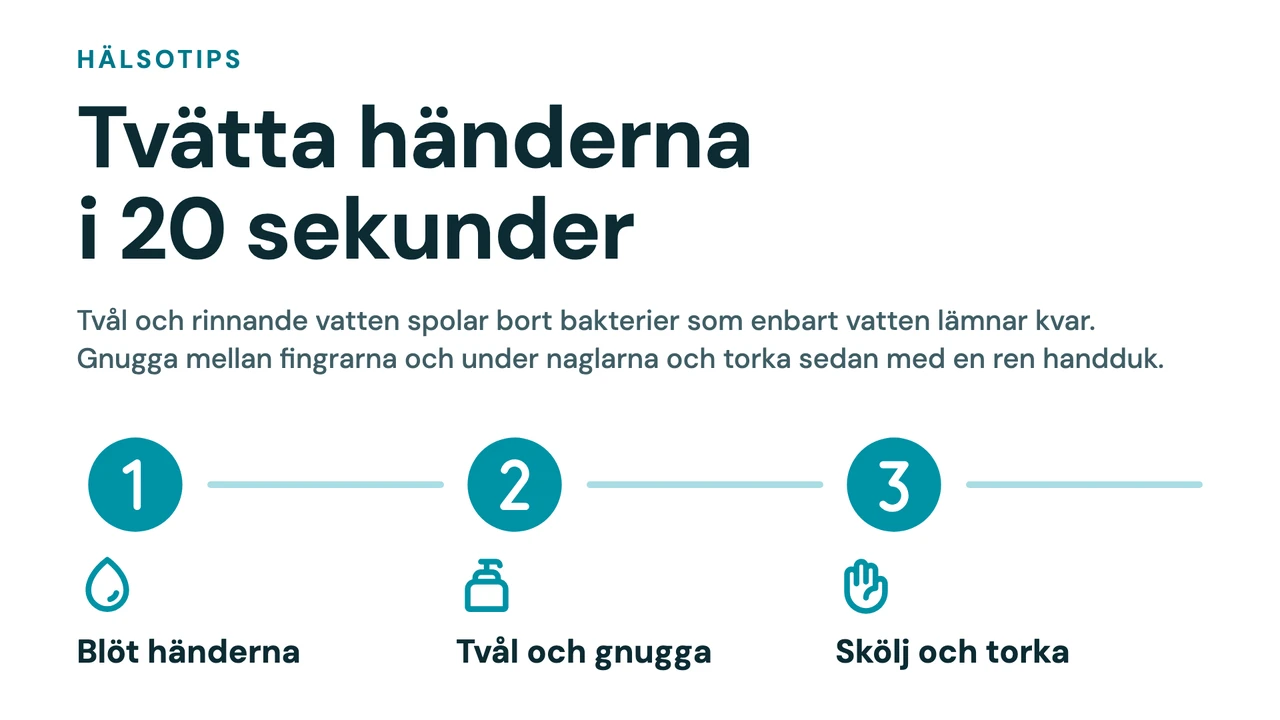 Numrerat hälsotips med linje